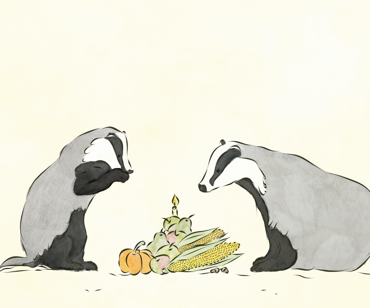 Badger Birthday